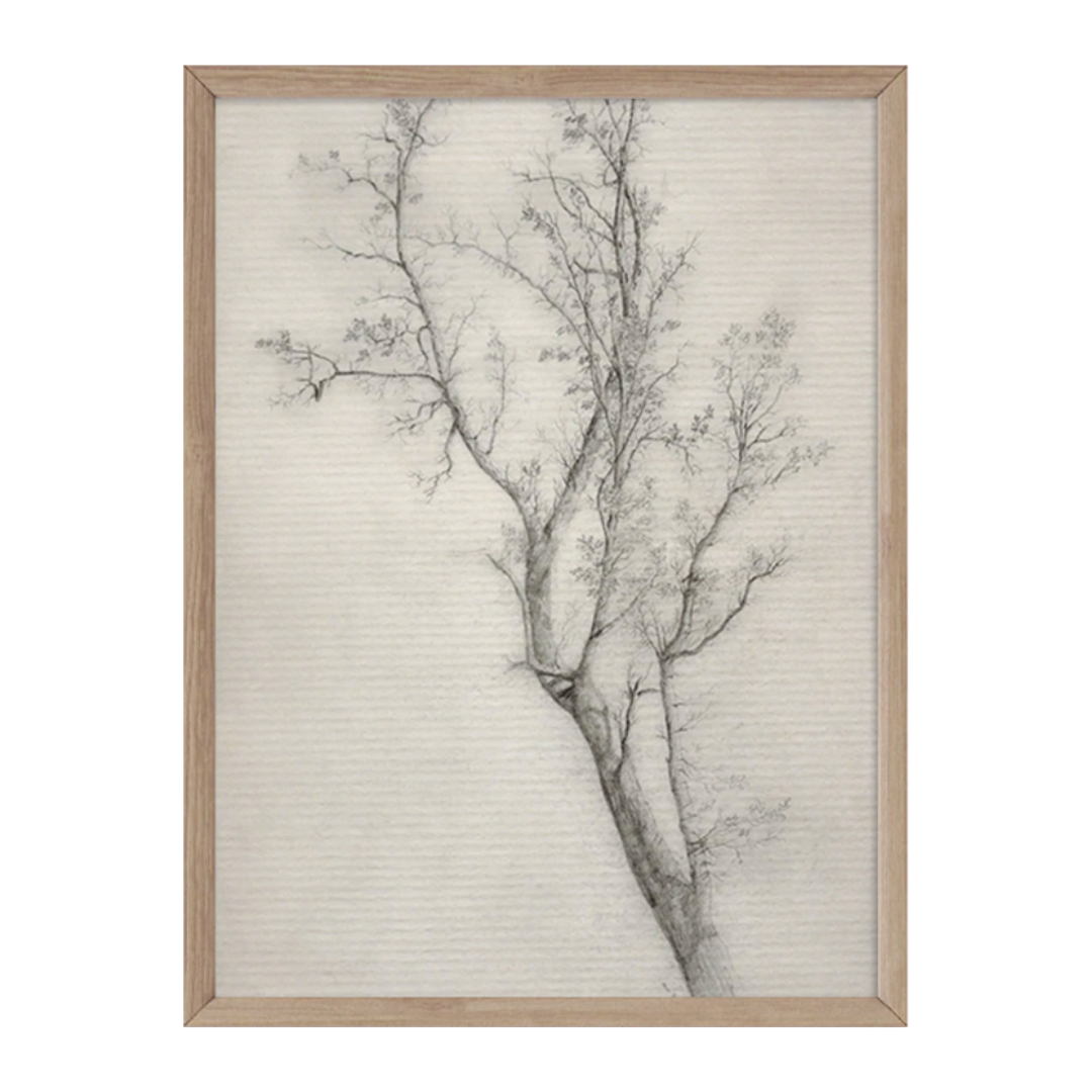 Tree Sketch Print