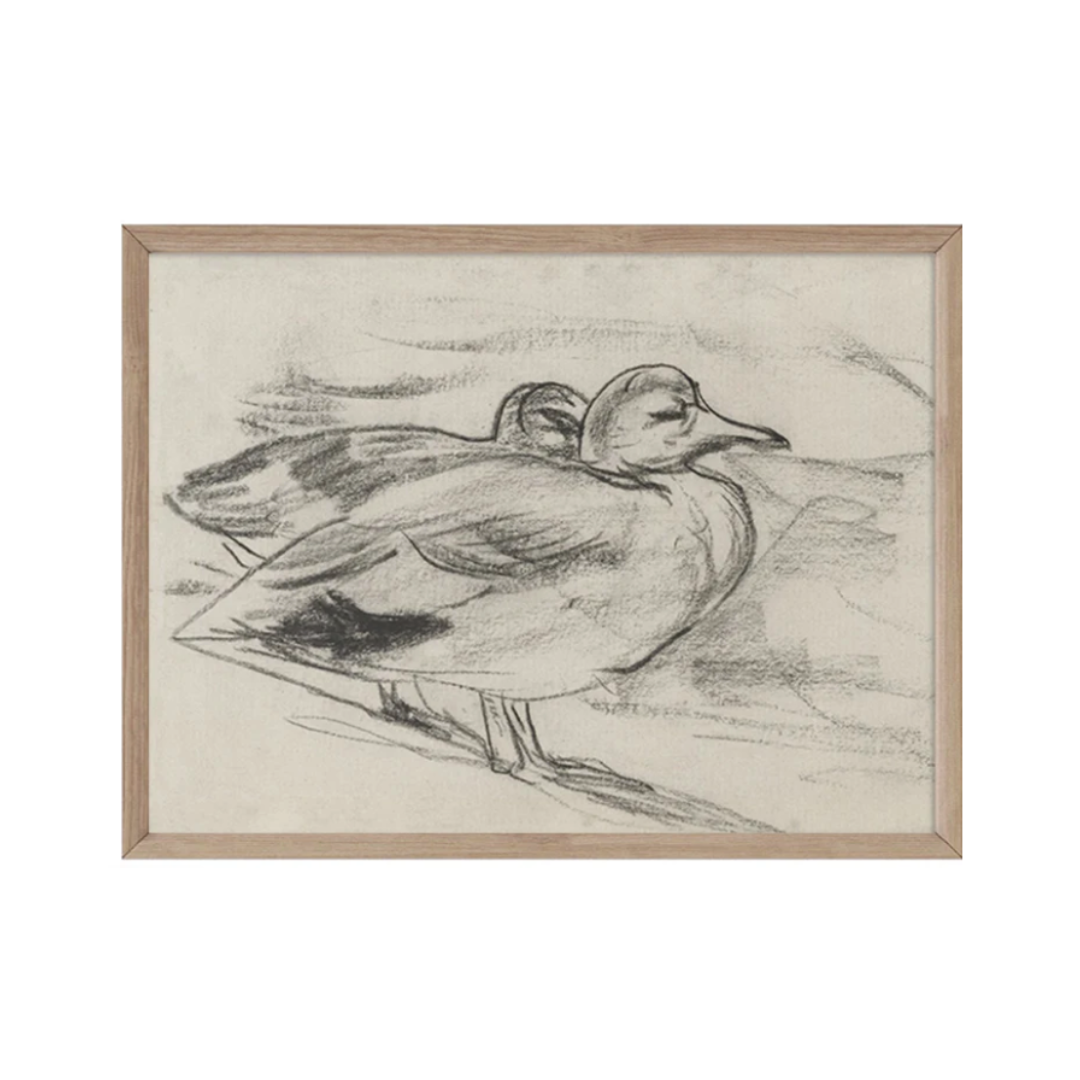 Sketched Ducks