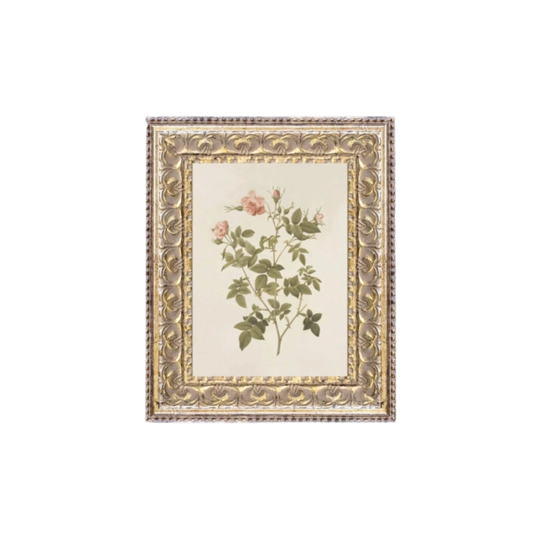 Rosa Framed Antique Art