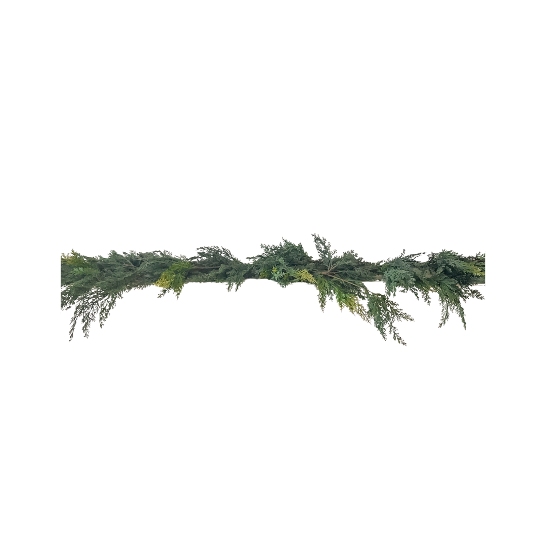 Cypress Garland 60&quot;