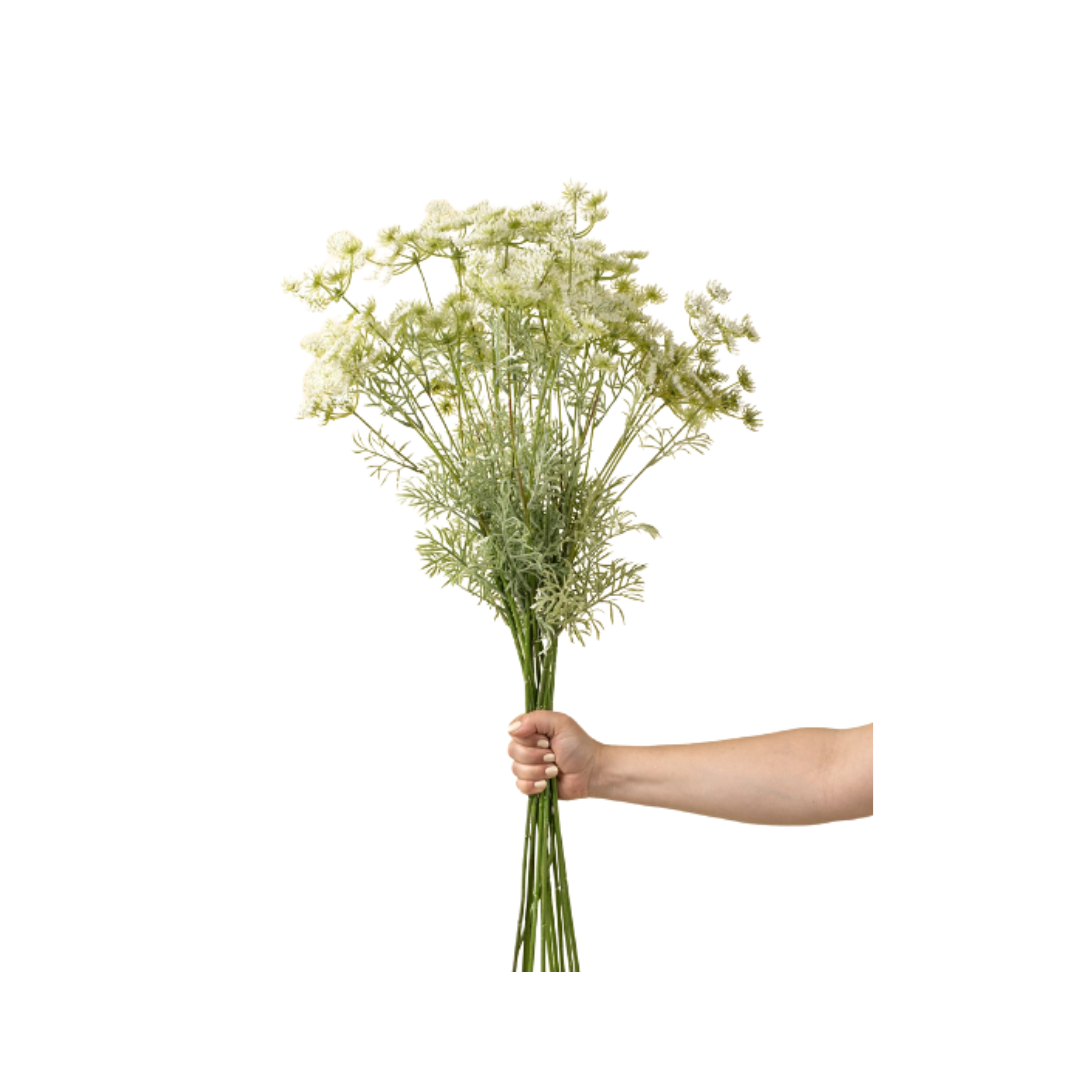 White Queen Anne's Lace Spray