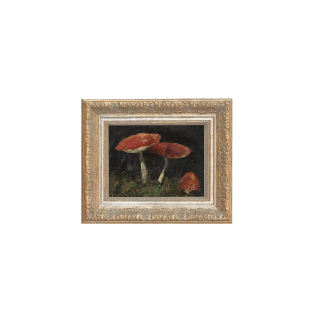 Vintage Mushroom Framed Art