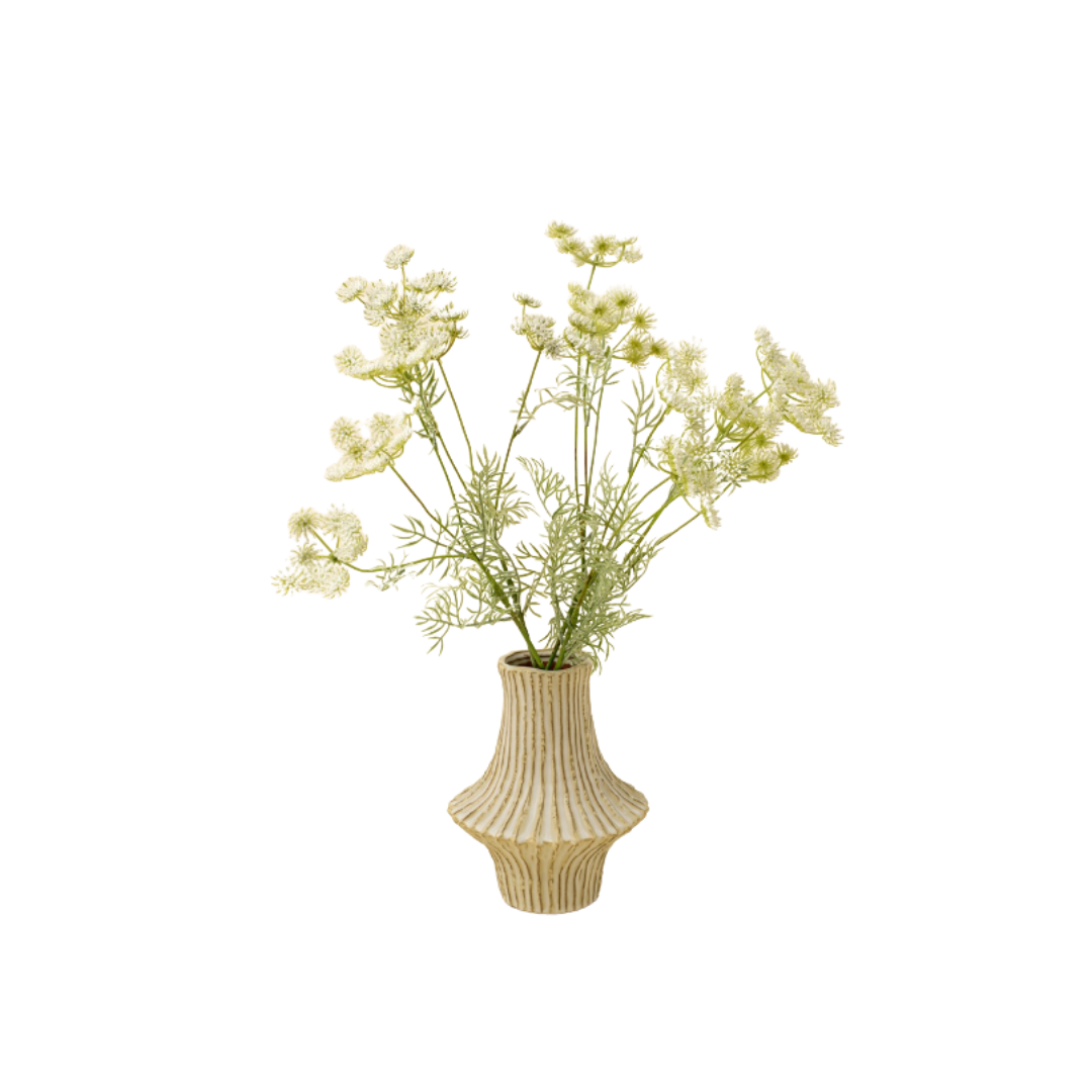 White Queen Anne's Lace Spray