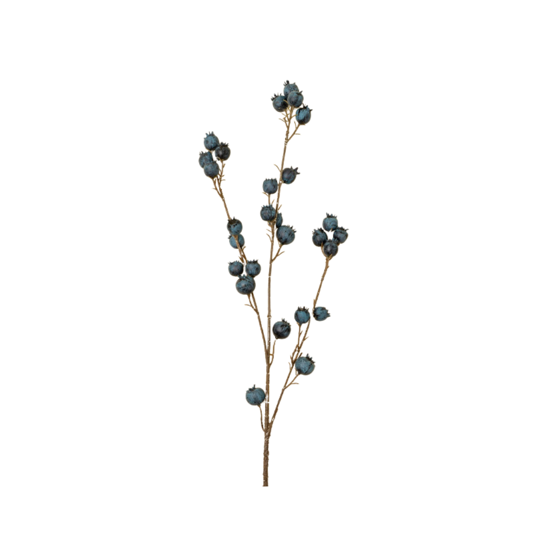Blueberry Branch