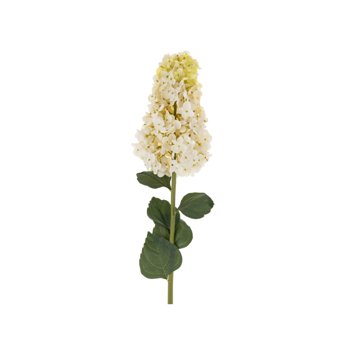 White Paniculata Hydrangea Stem