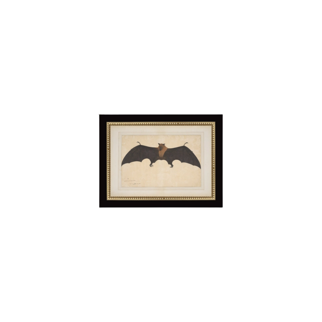 Spooky Bat Framed Print
