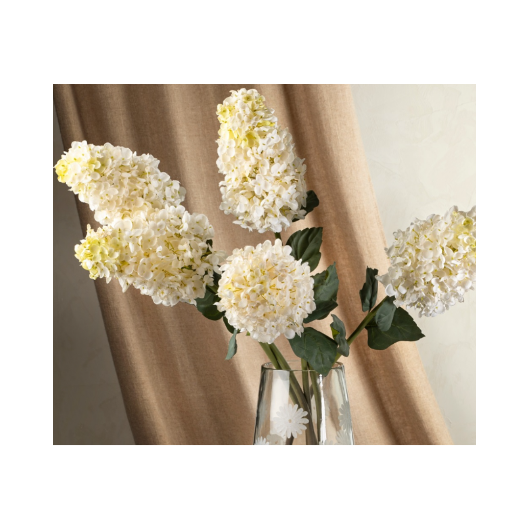 White Paniculata Hydrangea Stem