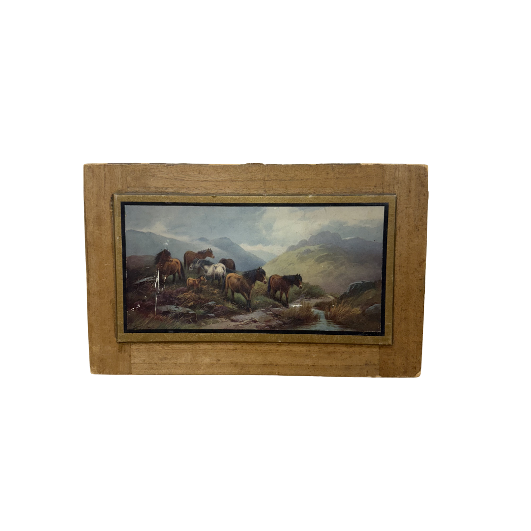 Found Horse Pasture Print