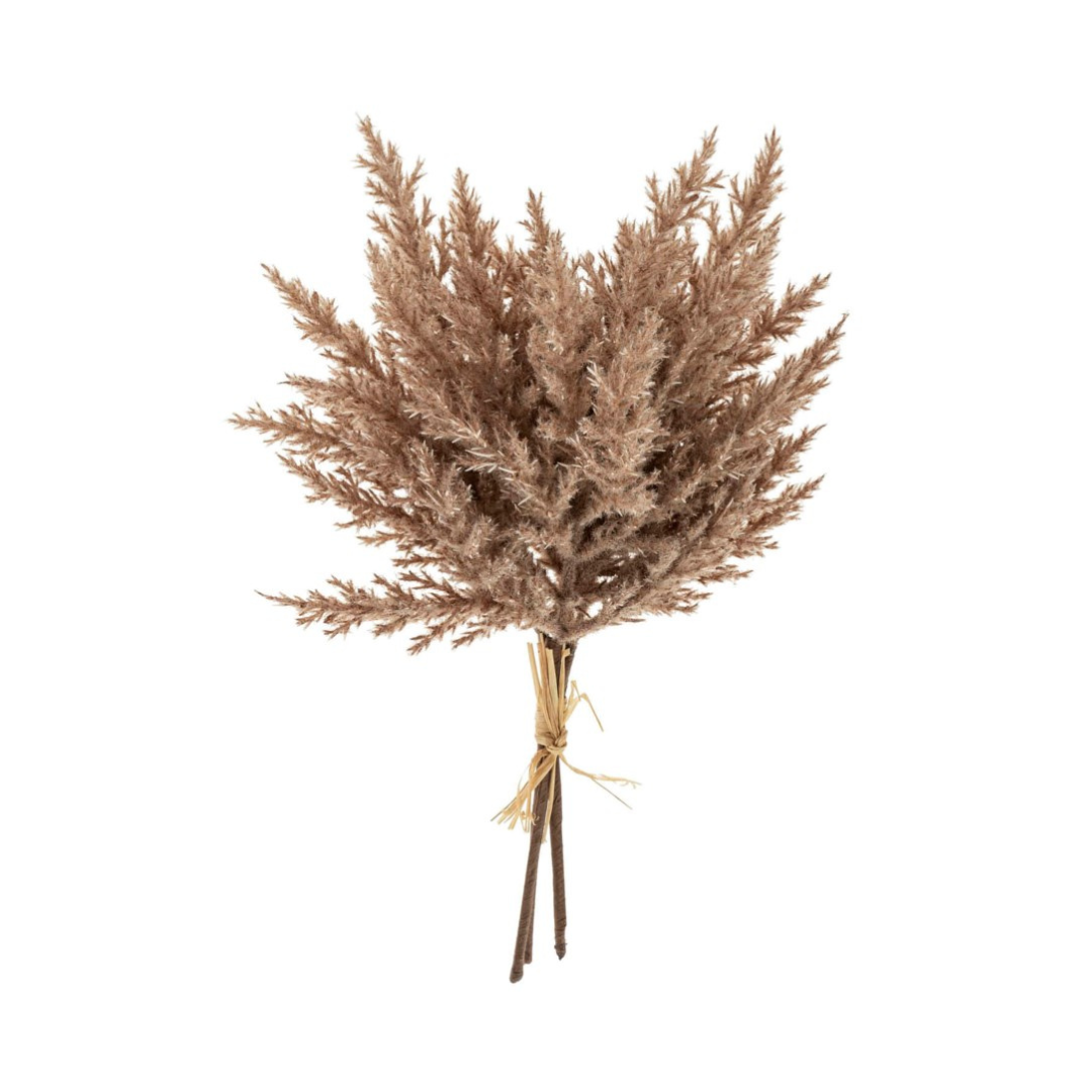 Pampas Grass Bundle