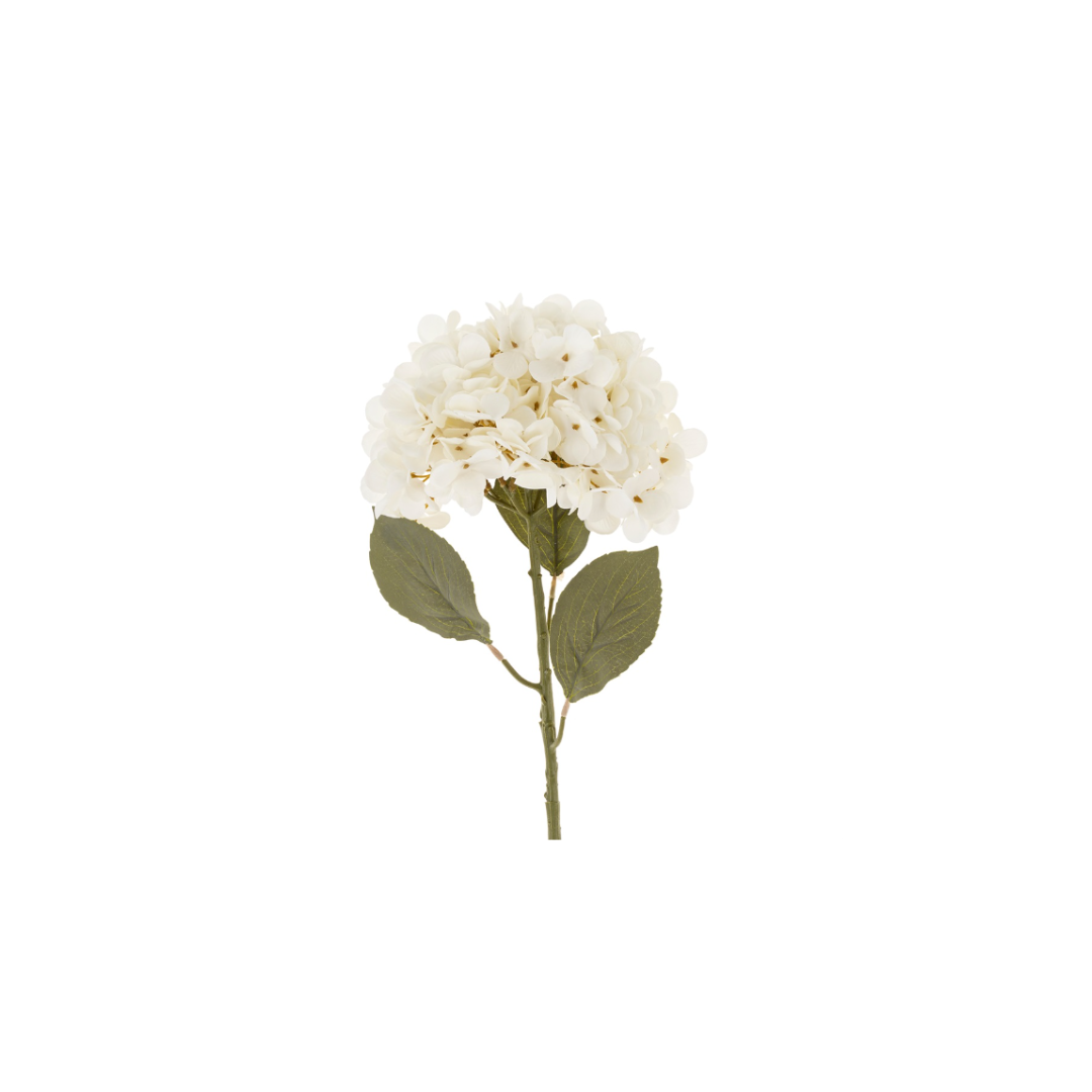 White Hydrangea Stem