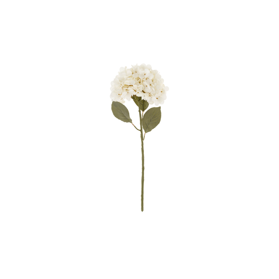 White Hydrangea Stem