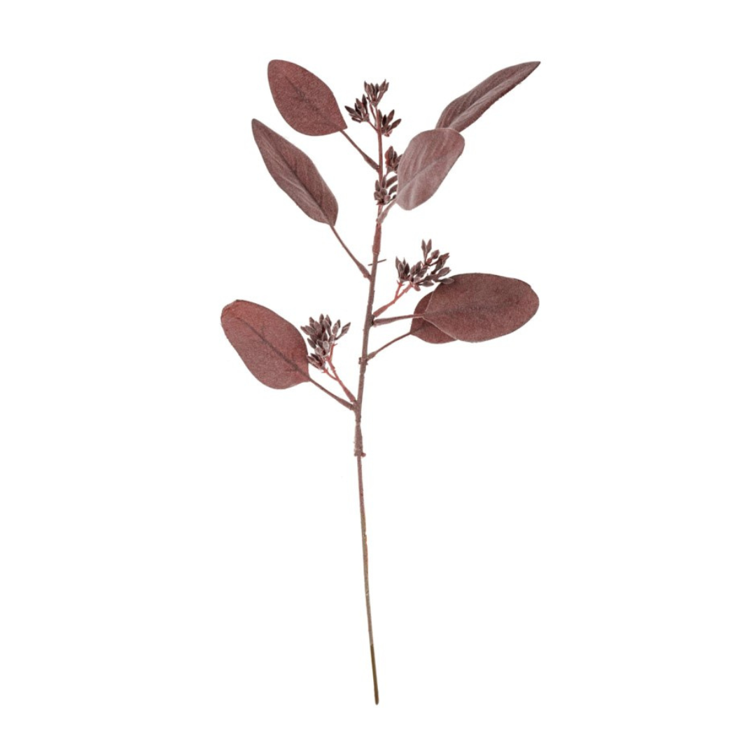 Mauve Eucalyptus Stem