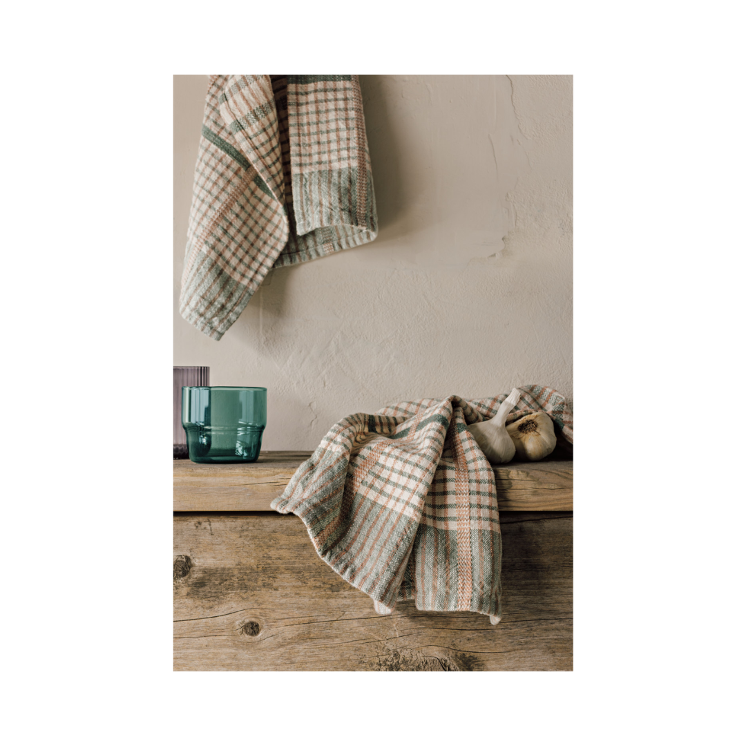 Willow Finley Check Dishtowels Set of 2