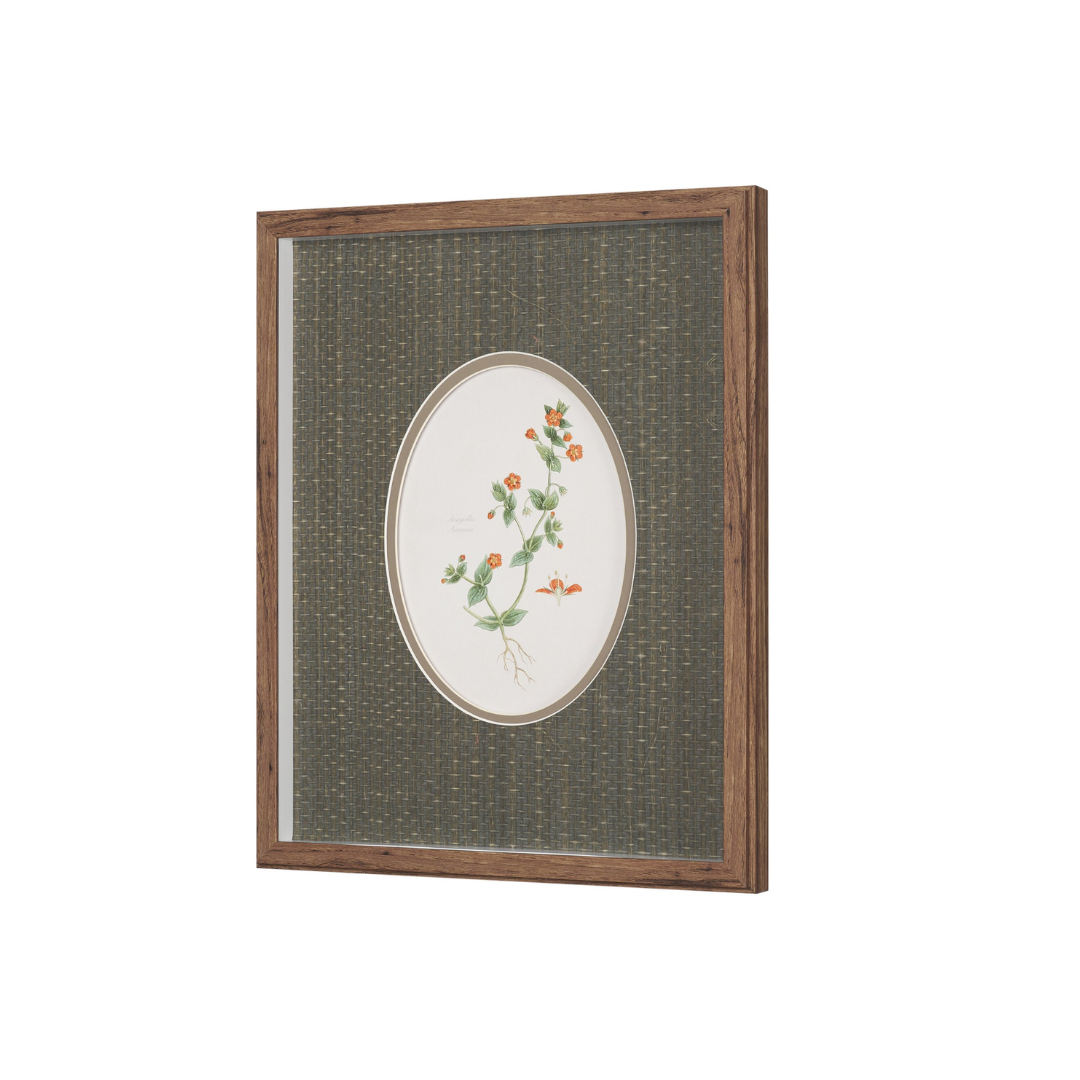 Viola Arvensis Flowers Art