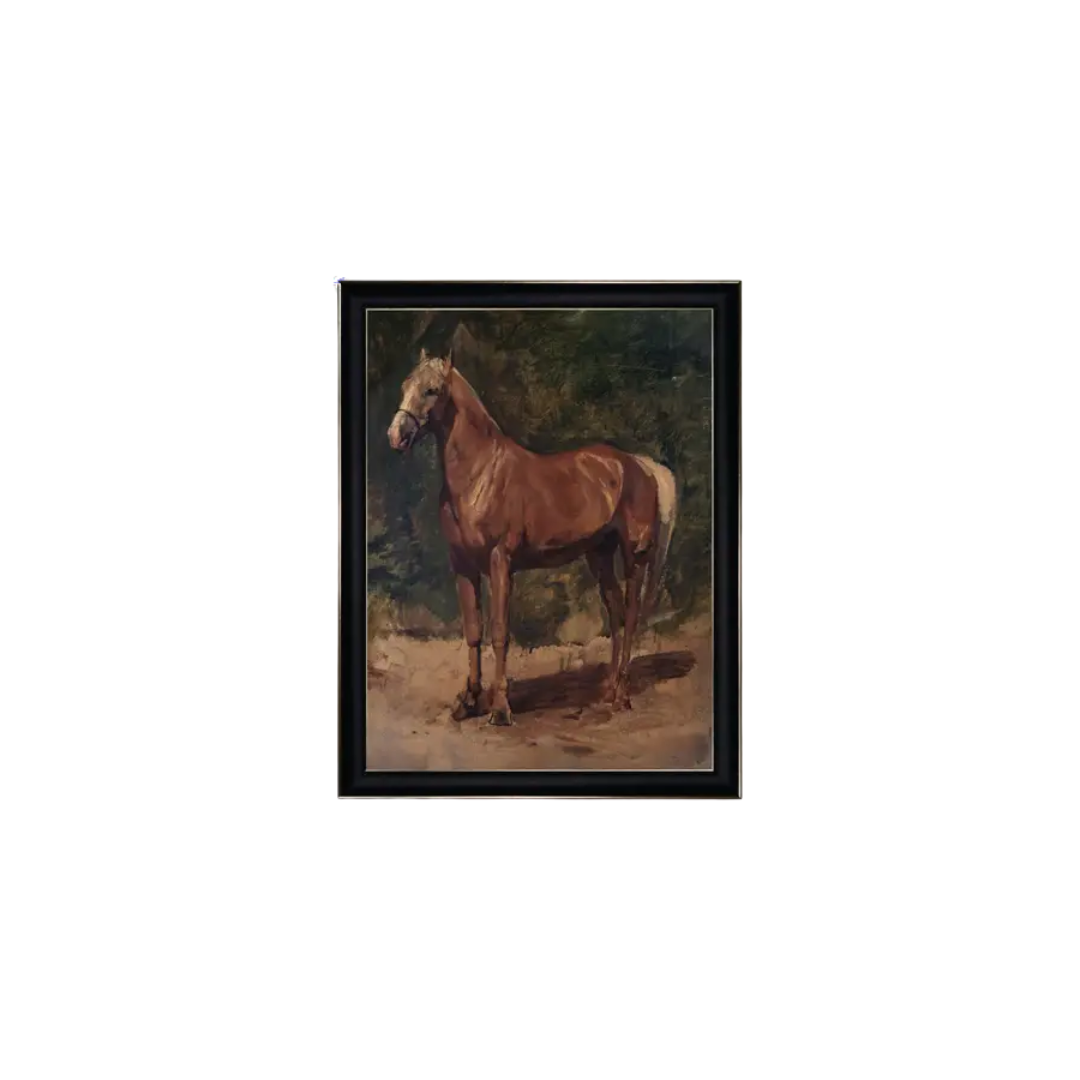 Chestnut Horse Framed Print