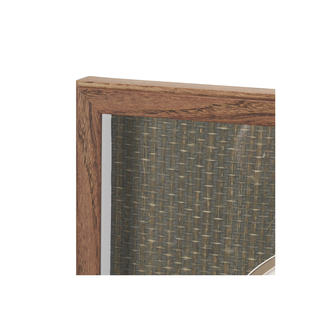 Viola Arvensis Flowers Art