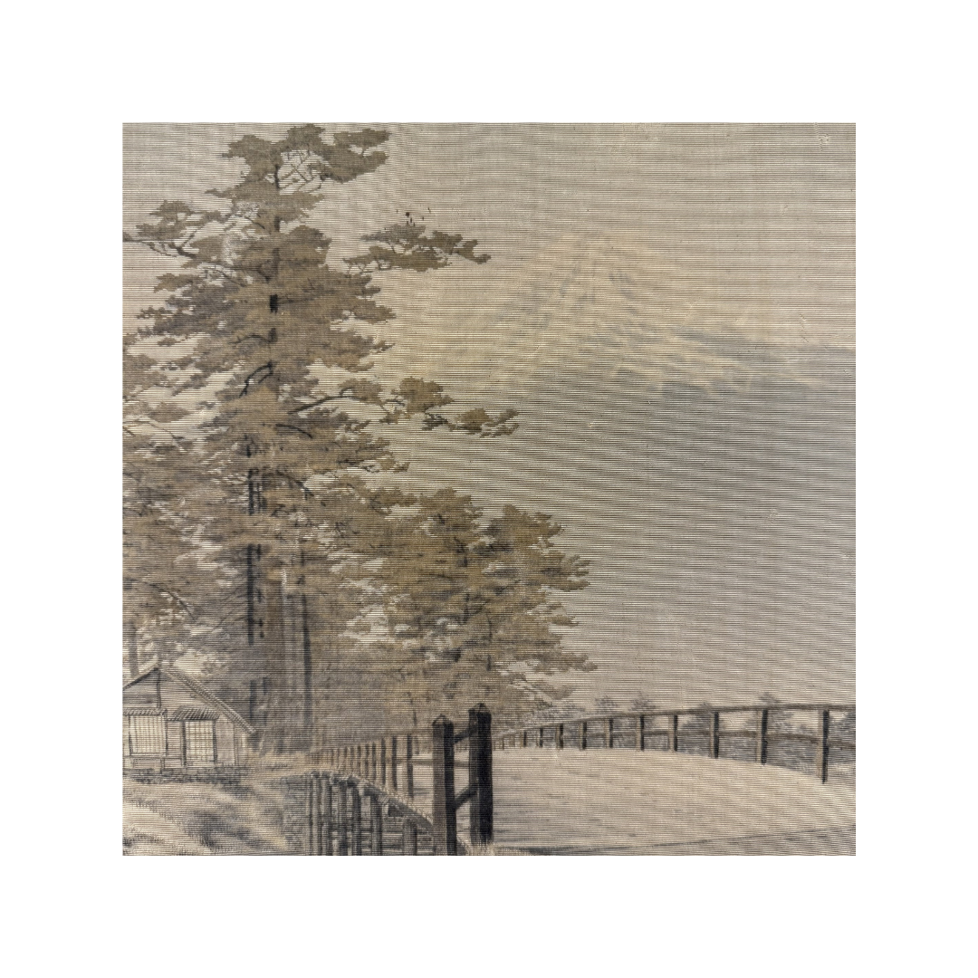 Found Mount Fuji on Lake Kawaguchi Velvet Tapestry Art