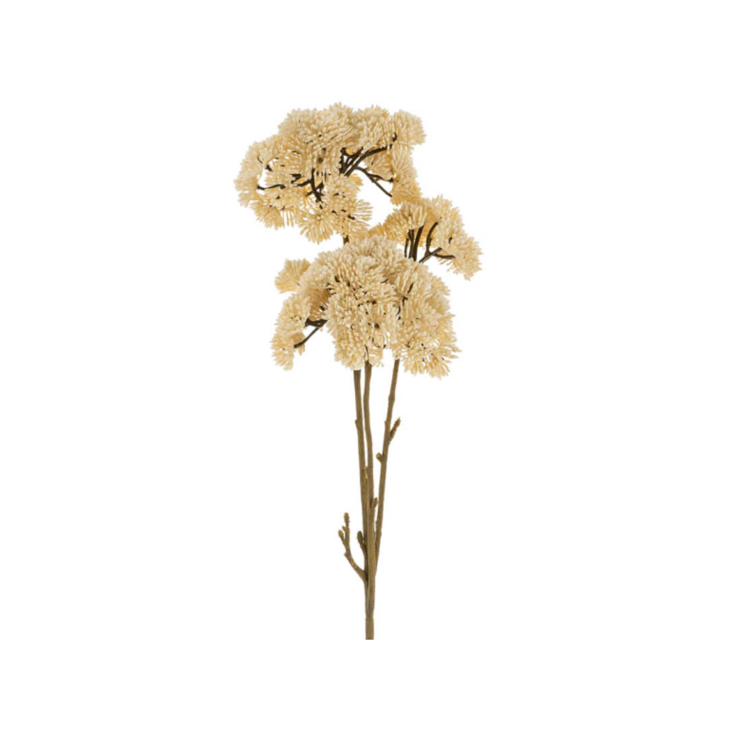 Pom Pom Floral Spray Cream