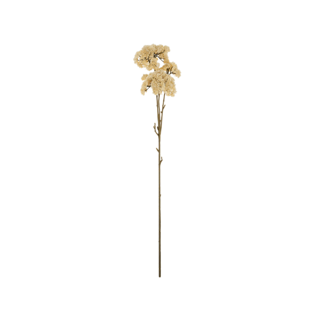 Pom Pom Floral Spray Cream