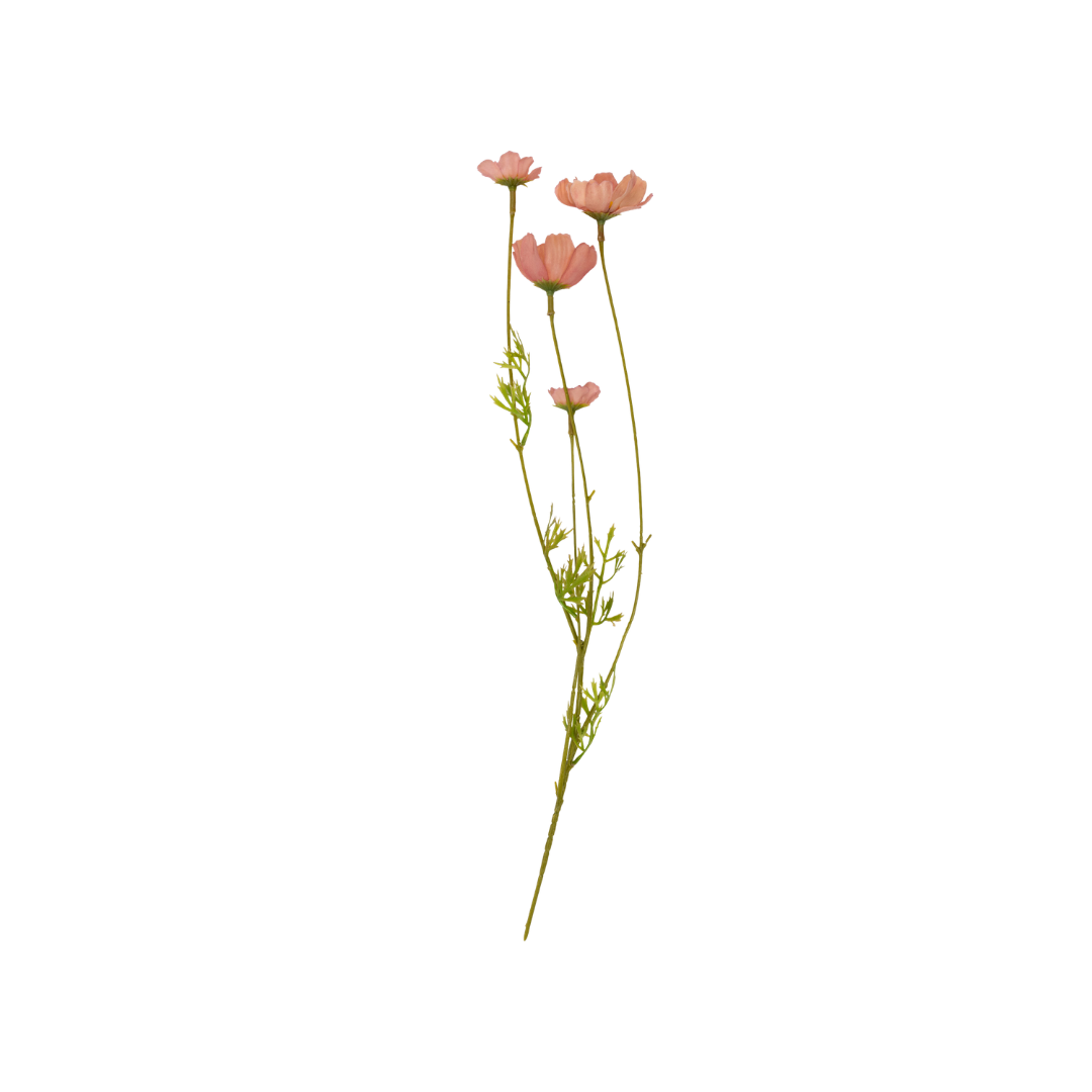 Pink Meadow Cosmo Stem