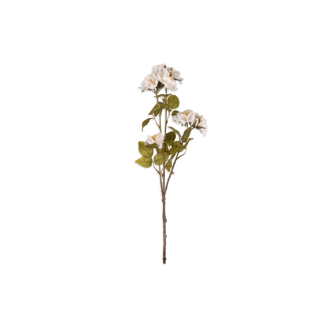 Cream Rose Stem