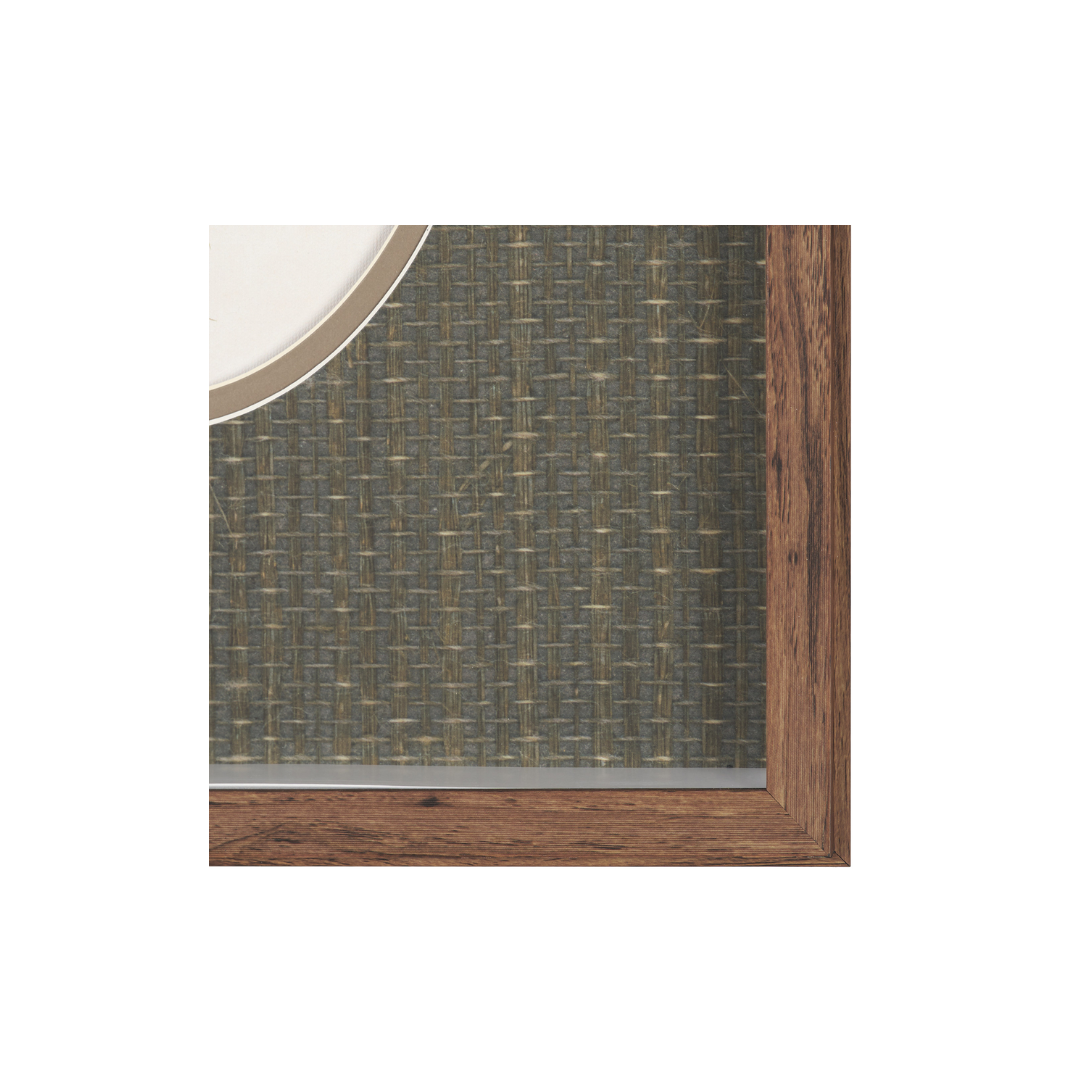 Viola Arvensis Flowers Art