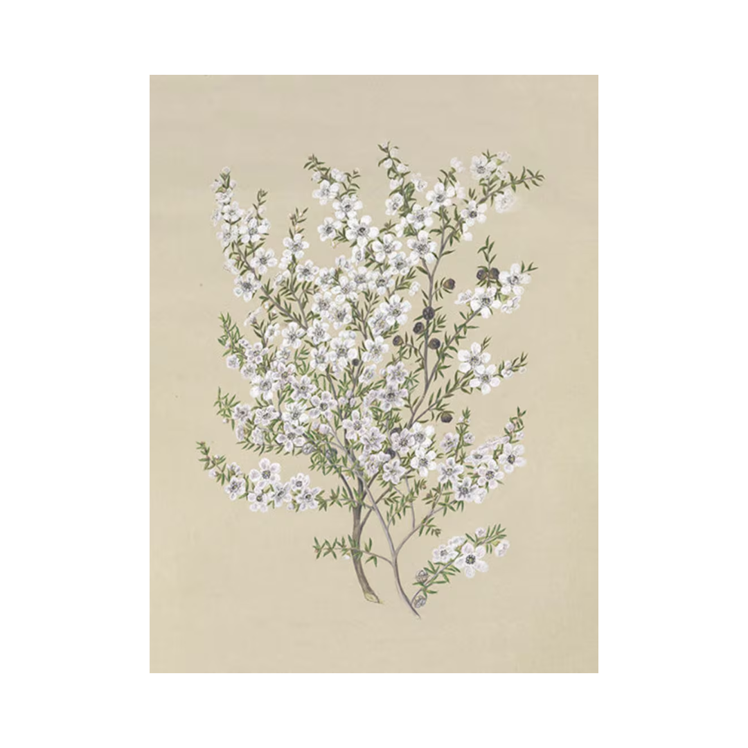 Vintage Floral Print