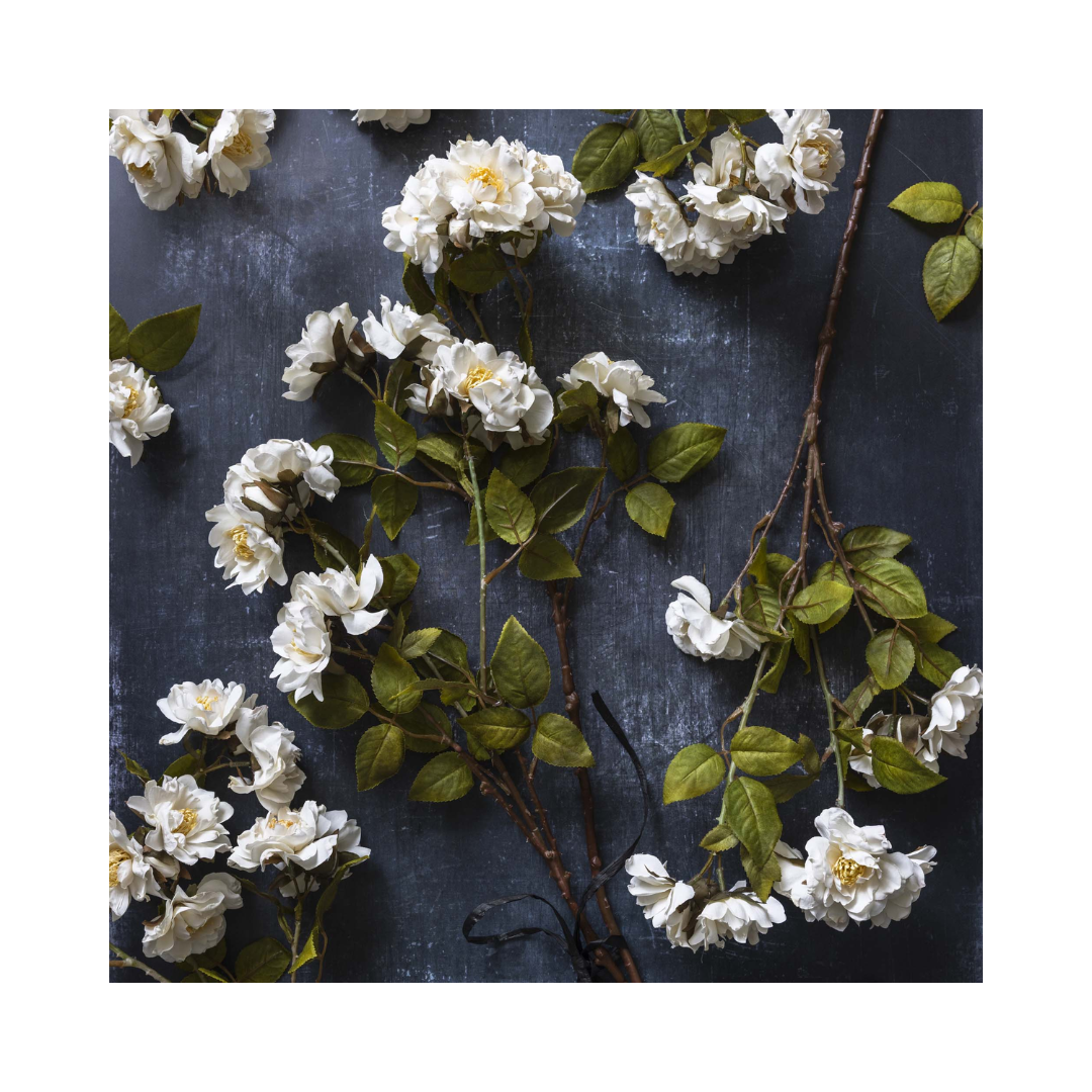 Cream Rose Stem