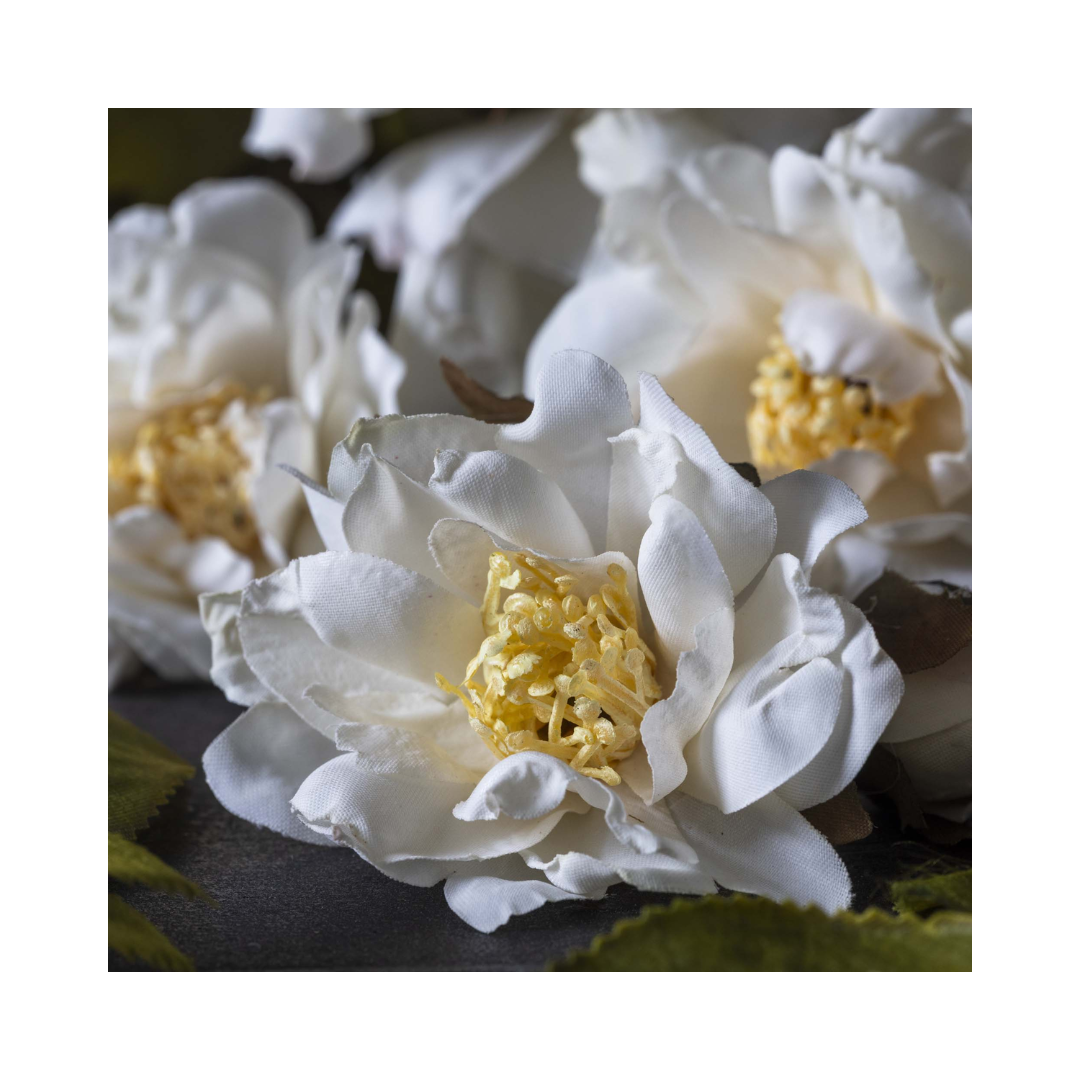 Cream Rose Stem