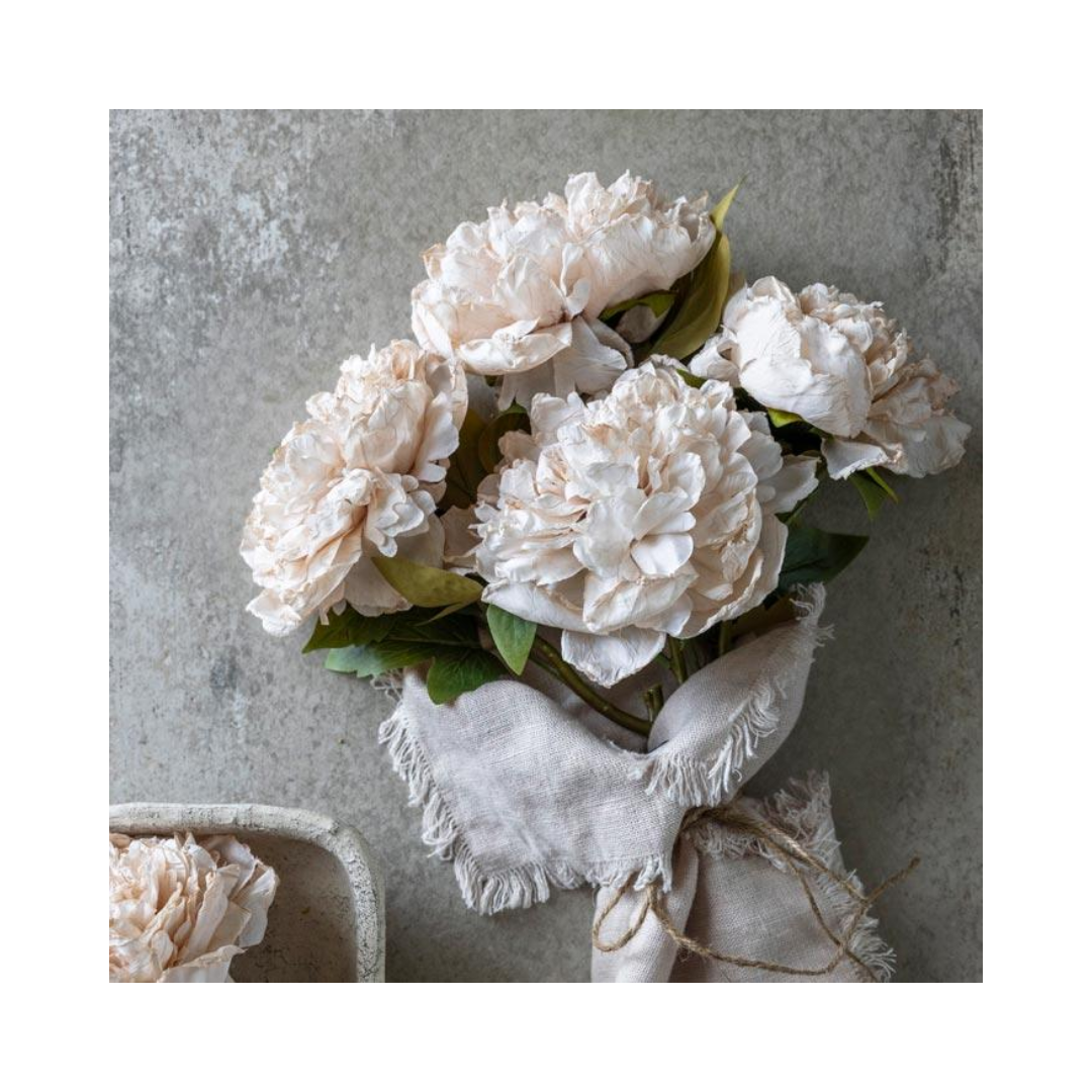 Evening Dew Peony Stem