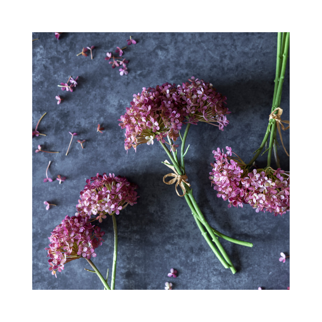 Hortensia Bunch Stems