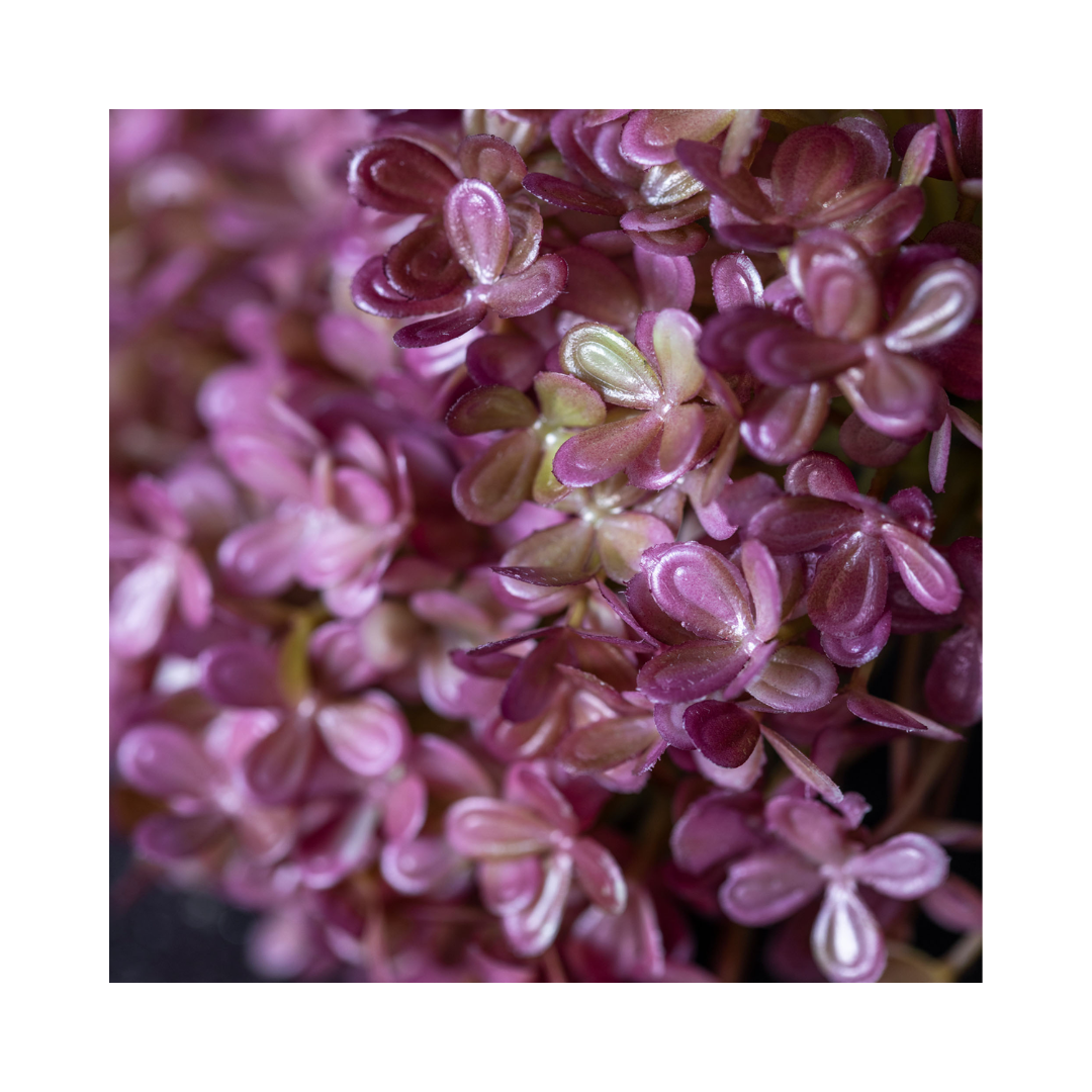 Hortensia Bunch Stems
