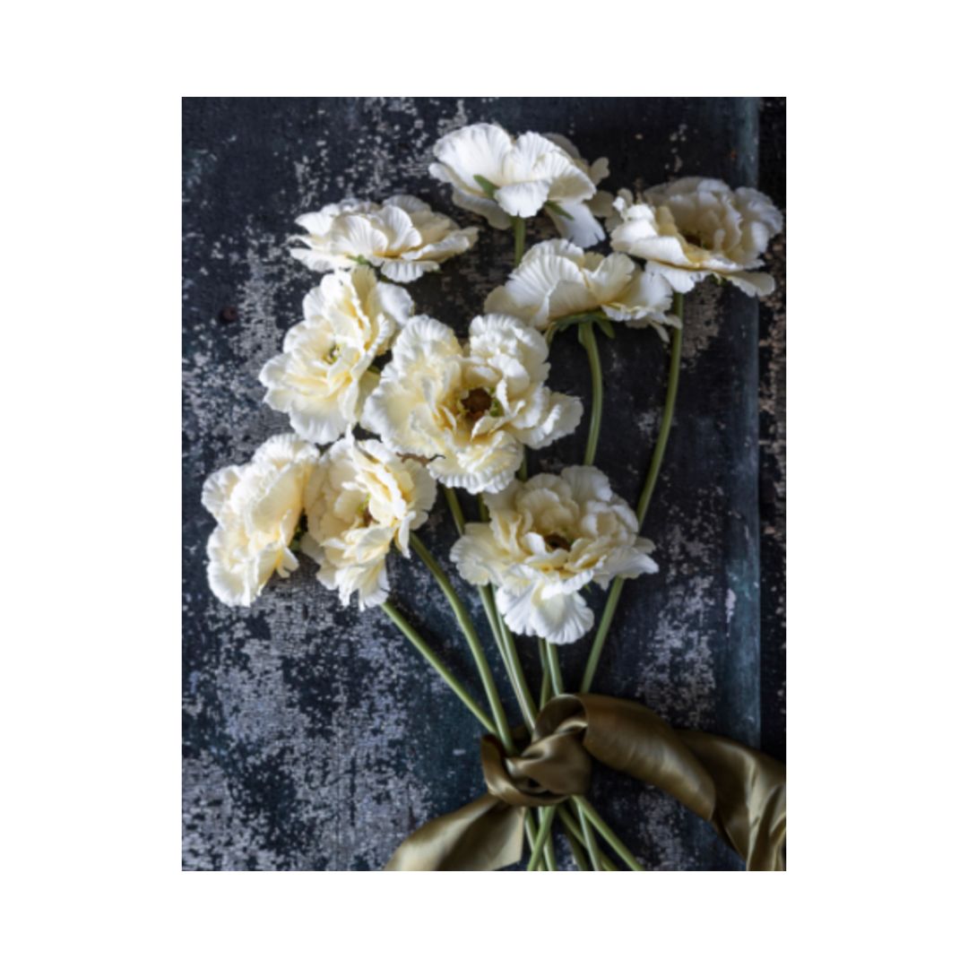 Garden Lace Peony