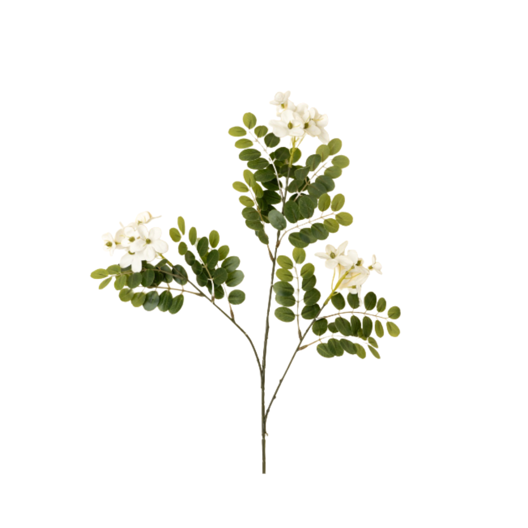 Locust Flower Branch