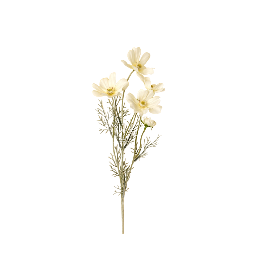 White Cosmos Spray