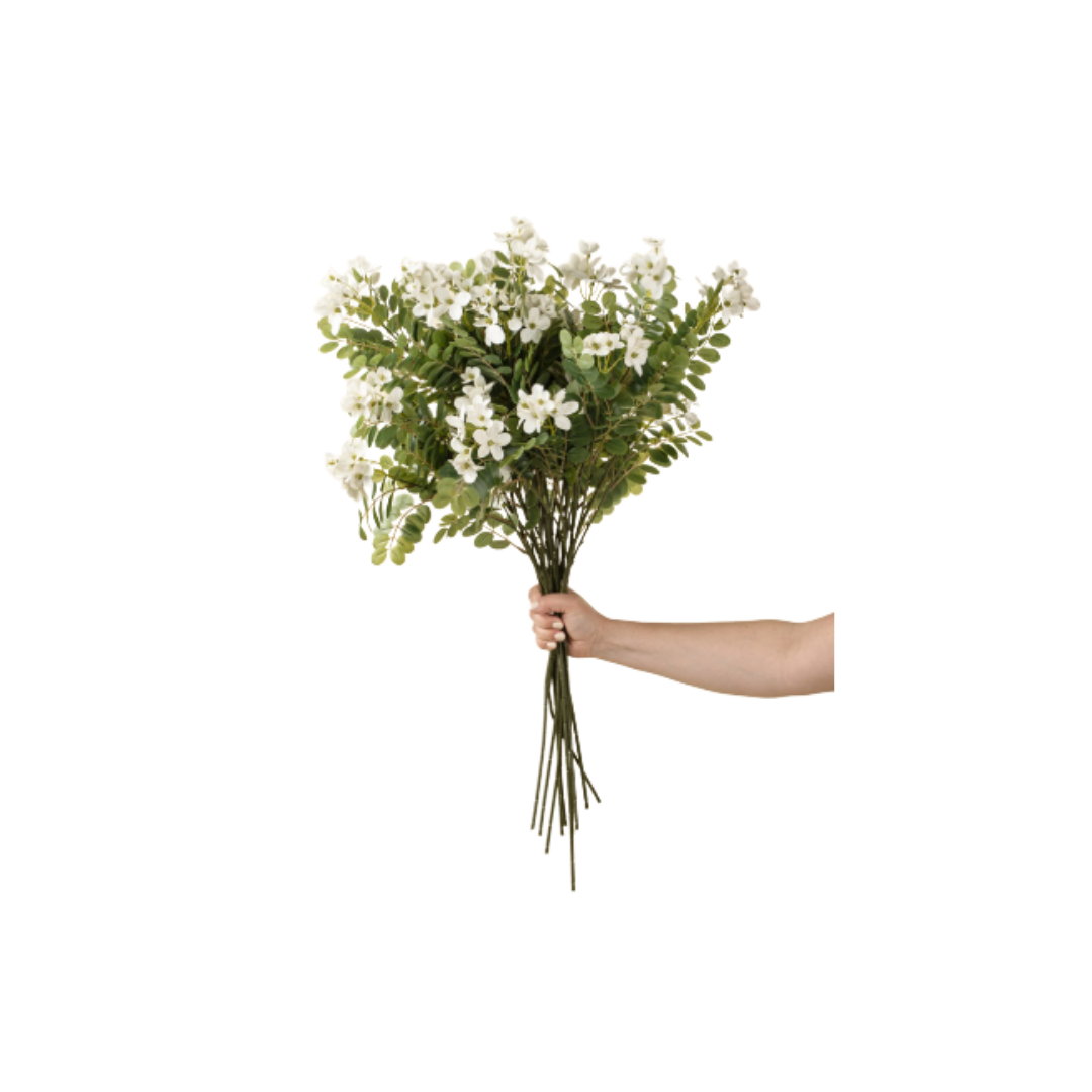 Locust Flower Branch
