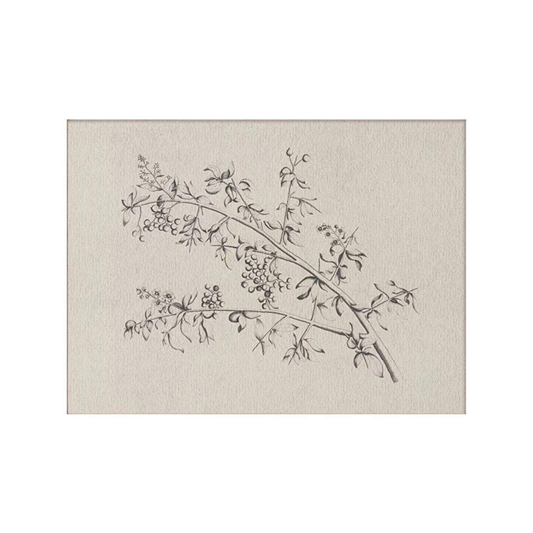 Berry Branch Print