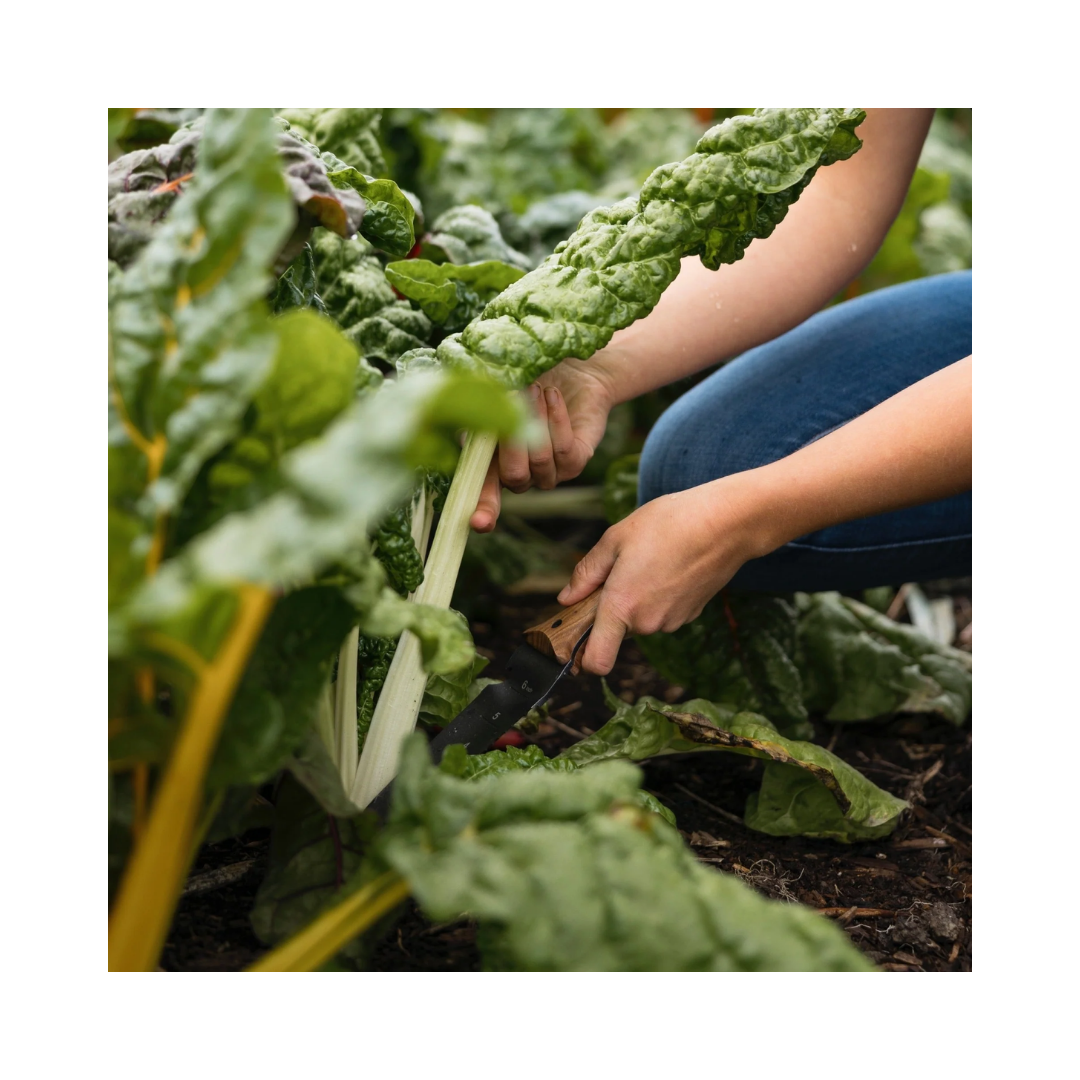 Sproutbox Hori Hori Garden Knife