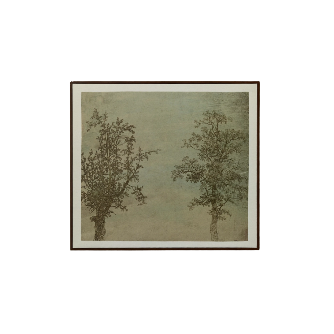 The Two Trees By Hercules Segers Landscape Framed Art Canvas