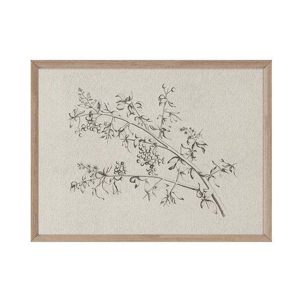Berry Branch Print - Heirloom Home Shop