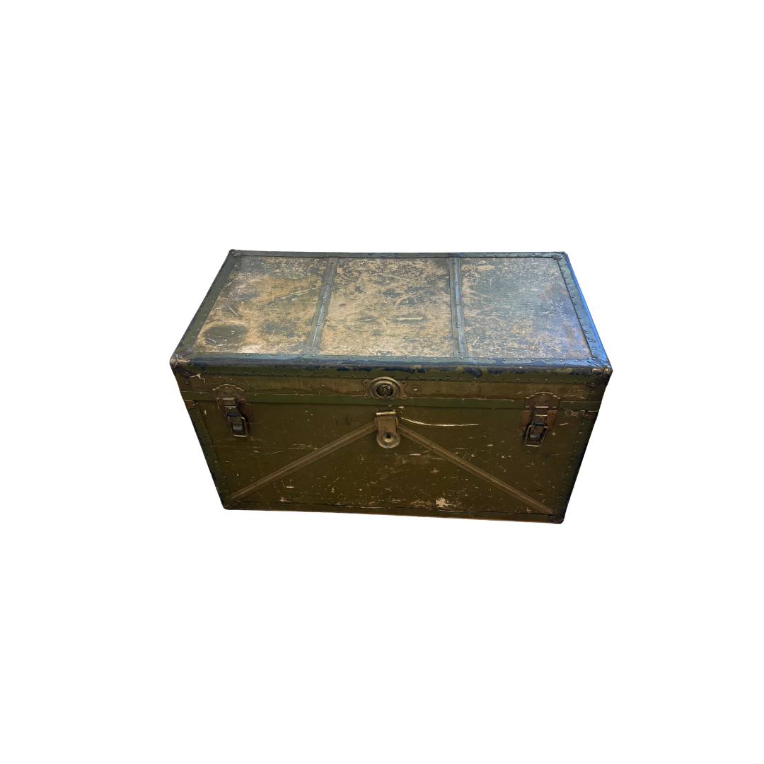Found Pink &amp; Olive Large Trunk Chest