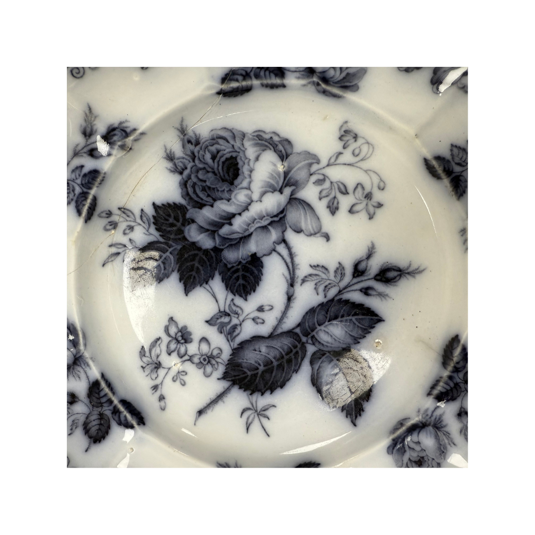 Found JP&Co. Staffordshire Moss Rose Plate