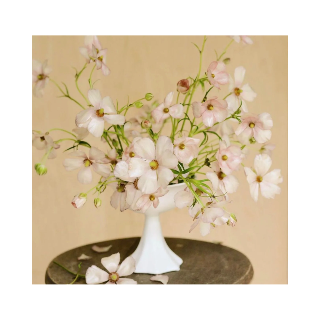 Petal Ceramic Pedestal Bowls