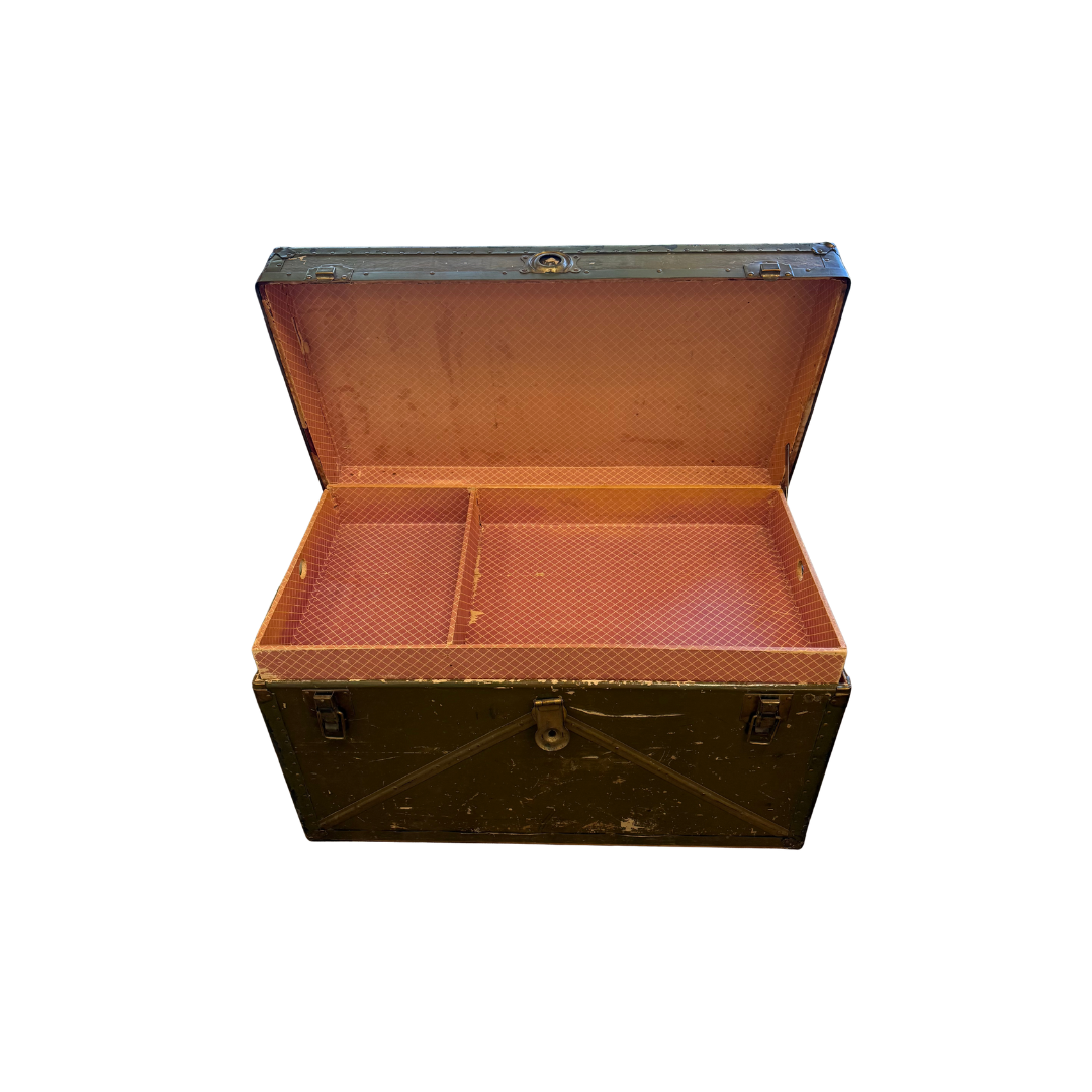 Found Pink &amp; Olive Large Trunk Chest