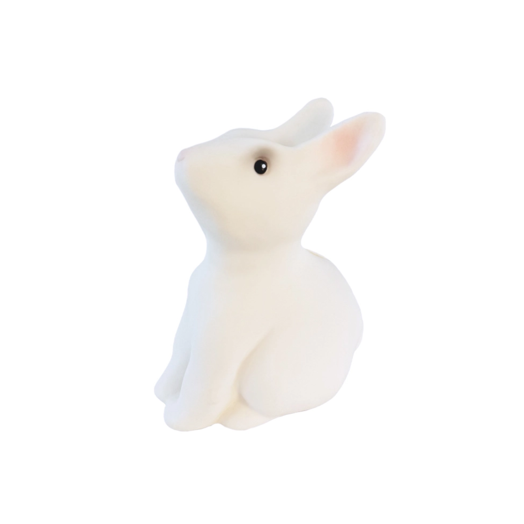 Bunny Piggy Bank