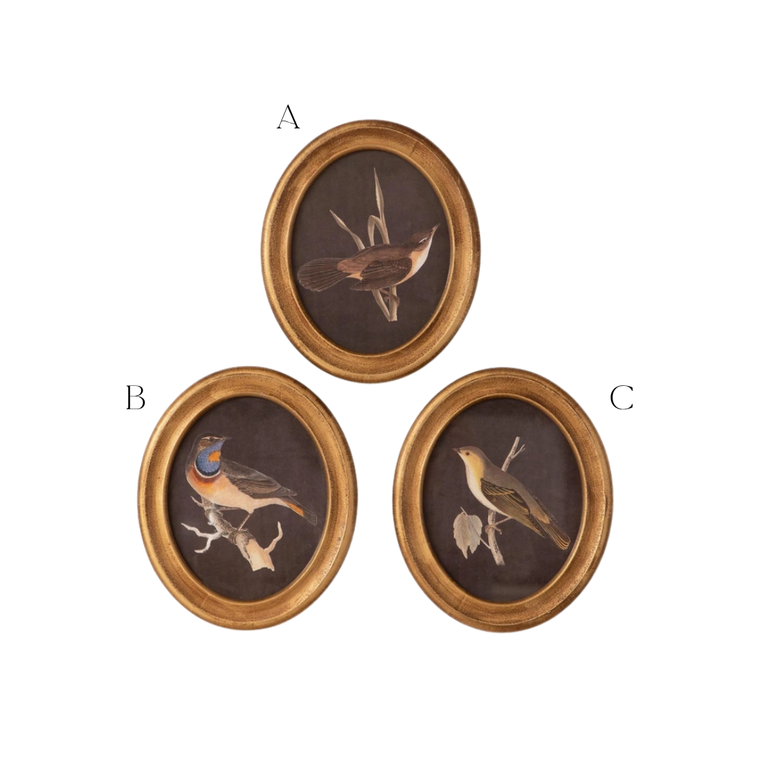 Gold Birds Round Framed Prints