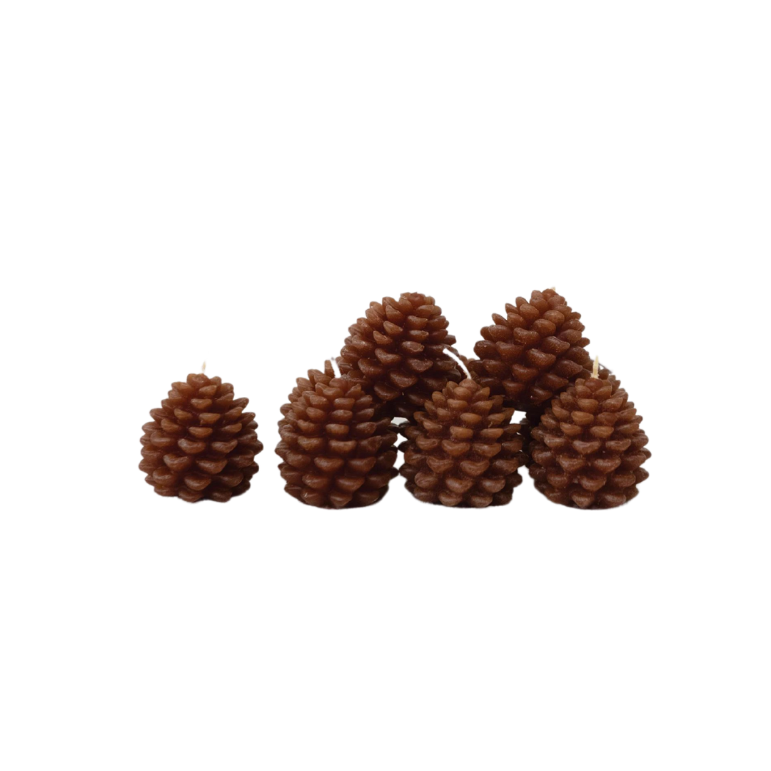 Unscented Pinecone Tealights