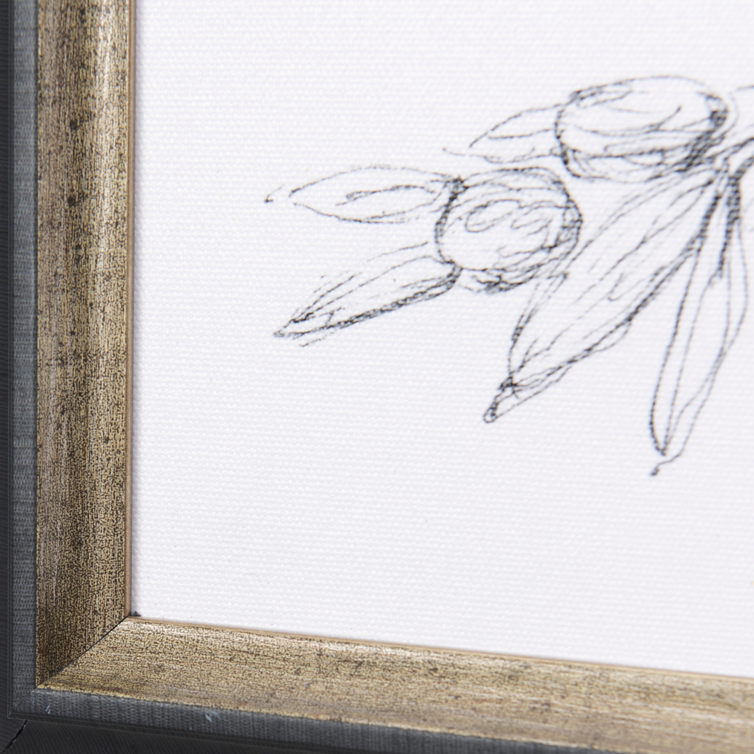 Oil &amp; Herb Collection