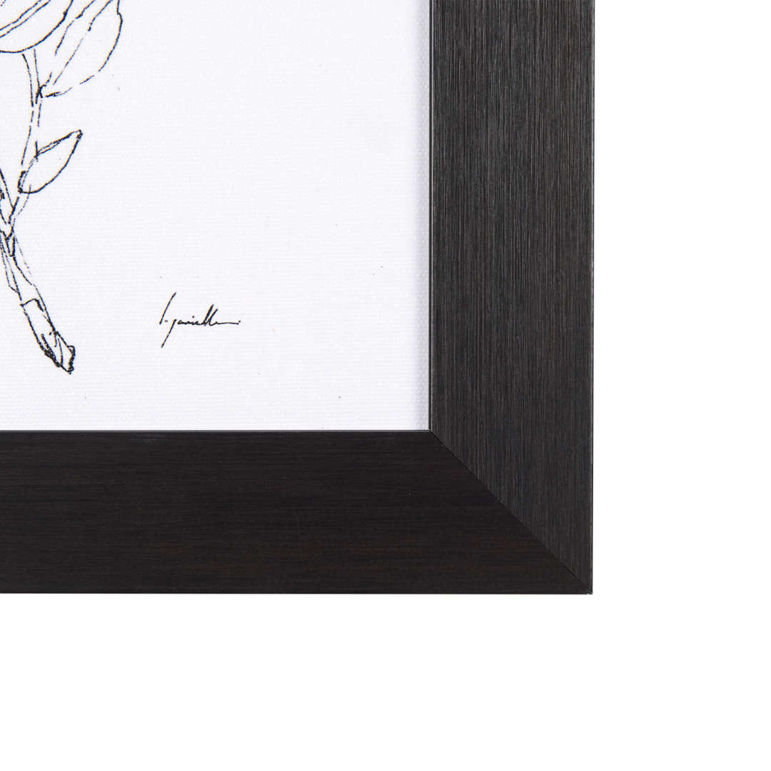 Oil &amp; Herb Collection