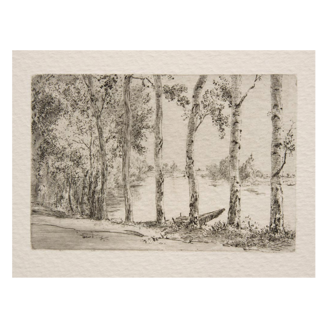 Birch Trees Print